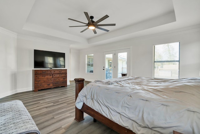 bedroom featuring a tray ceiling and multiple windows