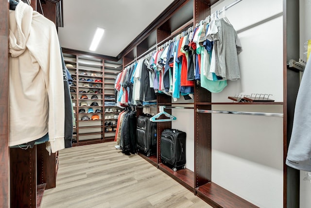 walk in closet with light wood-type flooring