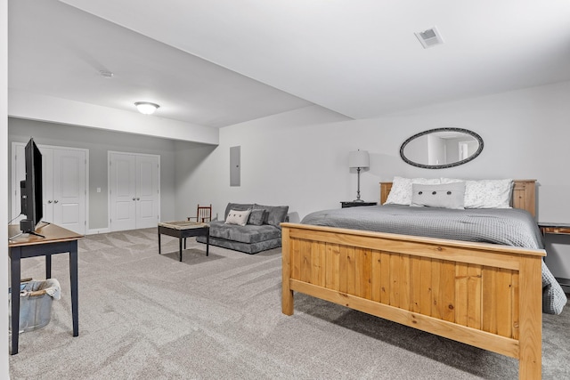 bedroom with electric panel and carpet floors