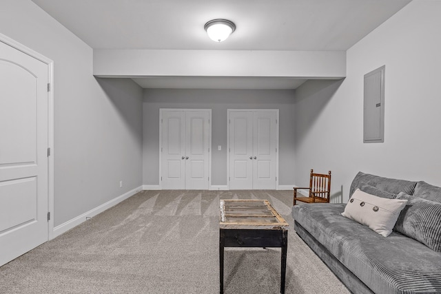 living room with carpet flooring and electric panel