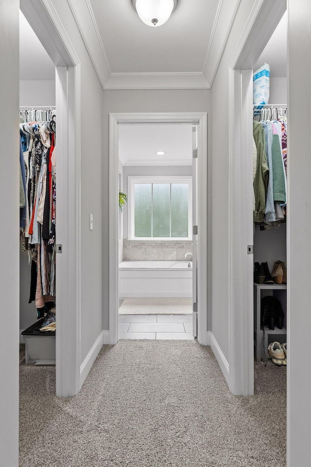 hallway with crown molding and carpet floors