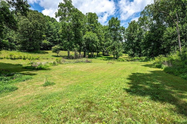 0 County Road 169, Athens, TN 37303 - photo 26