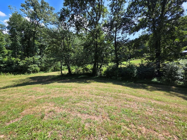 0 County Road 169, Athens, TN 37303 - photo 23
