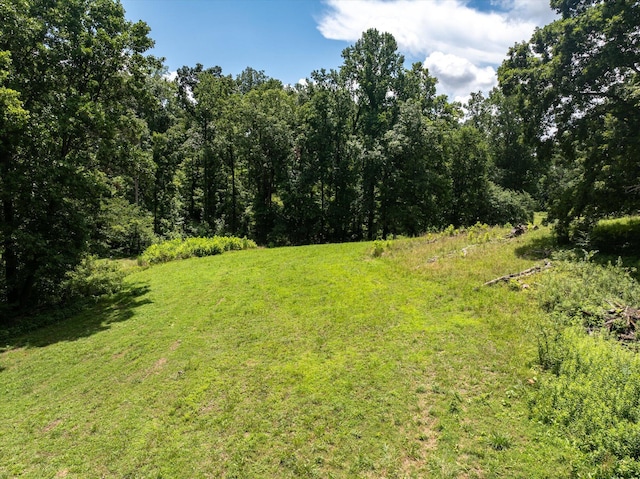0 County Road 169, Athens, TN 37303 - photo 25