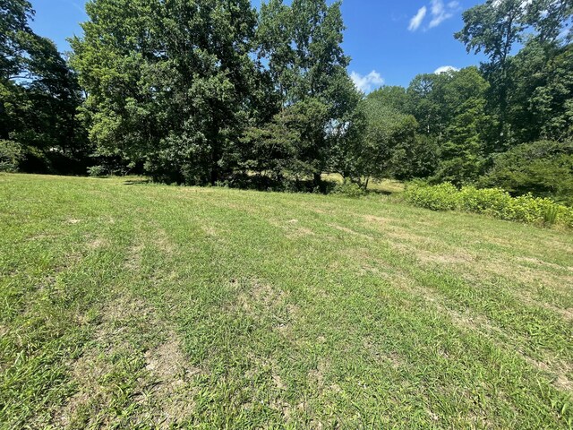 0 County Road 169, Athens, TN 37303 - photo 19