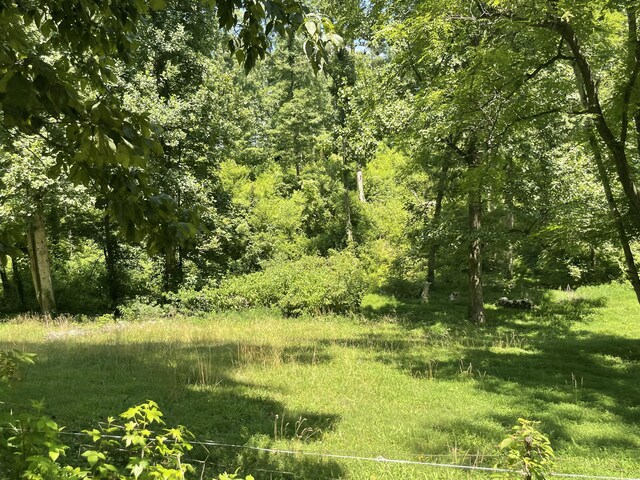 0 County Road 169, Athens, TN 37303 - photo 20