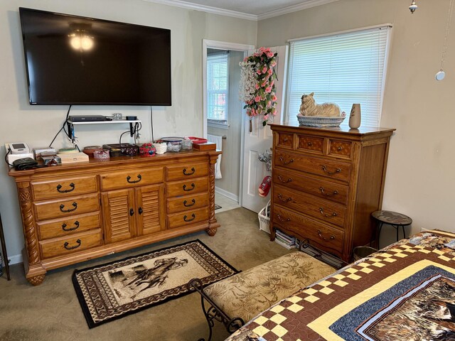 2510 Burning Tree Dr NW, Cleveland, TN 37312 - bedroom with carpet and crown molding
