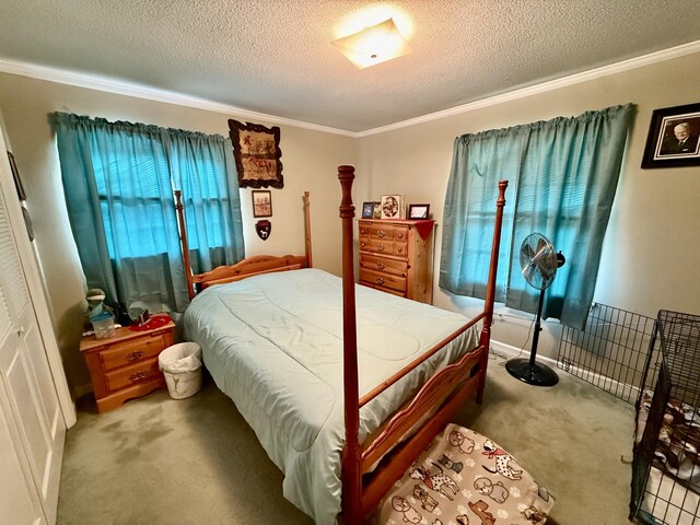 2510 Burning Tree Dr NW, Cleveland, TN 37312 - carpeted bedroom featuring a textured ceiling and ornamental molding