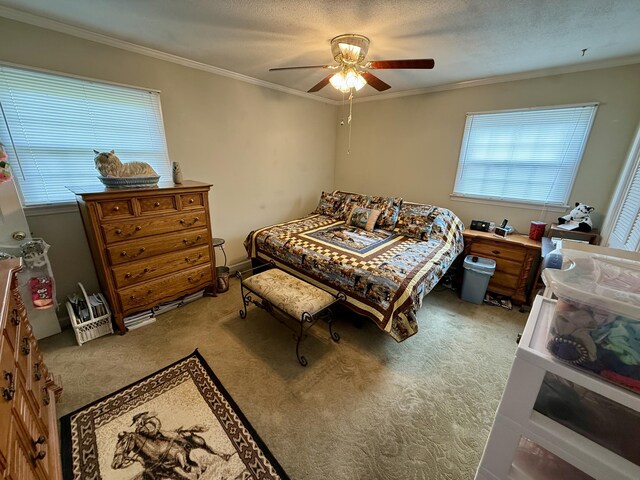 2510 Burning Tree Dr NW, Cleveland, TN 37312 - bedroom with a ceiling fan, crown molding, multiple windows, and light colored carpet