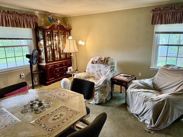 2510 Burning Tree Dr NW, Cleveland, TN 37312 - carpeted living room with ornamental molding