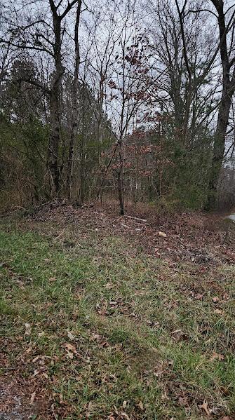 00 County Road 609, Etowah, TN 37331 - photo 2
