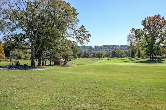 view of property's community featuring a lawn