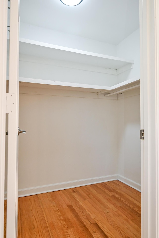 spacious closet with hardwood / wood-style flooring