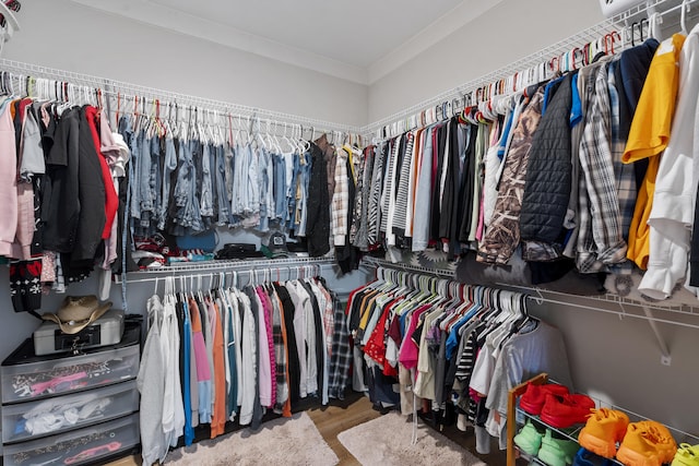 walk in closet with wood finished floors