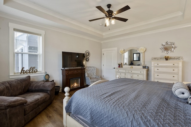 bedroom featuring wood finished floors, a glass covered fireplace, ceiling fan, a tray ceiling, and ornamental molding