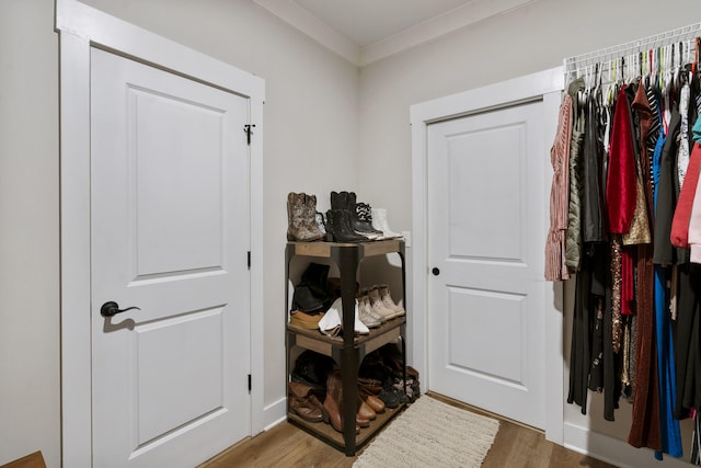 mudroom featuring wood finished floors