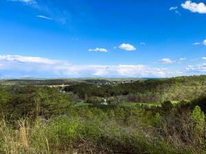 TRACT6 SW Owl Hollow Rd, Mcdonald TN, 37353 land for sale