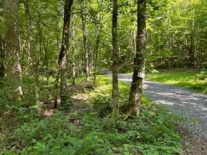 Listing photo 3 for TRACT6 SW Owl Hollow Rd, Mcdonald TN 37353