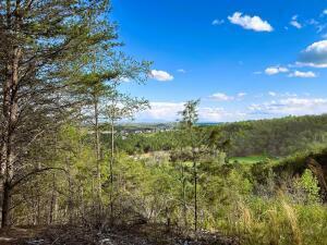 Listing photo 2 for TRACT6 SW Owl Hollow Rd, Mcdonald TN 37353