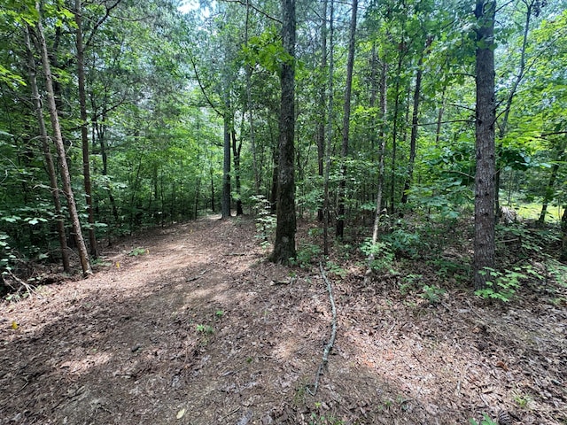 LOT14 Gatlin Rd NE, Cleveland, TN 37323 - photo 3