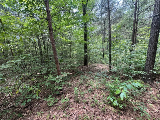 LOT14 Gatlin Rd NE, Cleveland, TN 37323 - photo 6