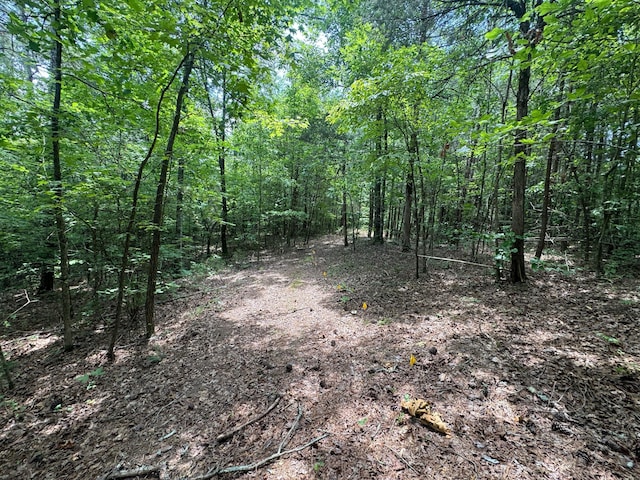 LOT14 Gatlin Rd NE, Cleveland, TN 37323 - photo 4