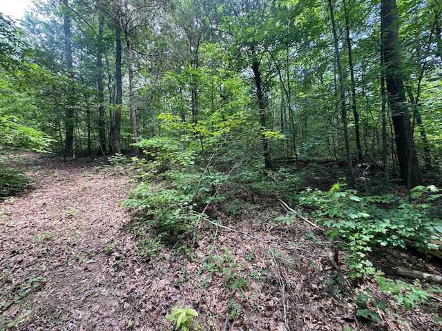 LOT14 Gatlin Rd NE, Cleveland, TN 37323 - photo 10
