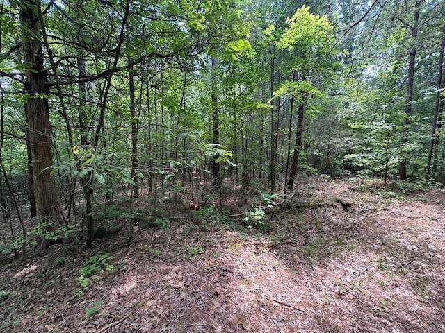 LOT14 Gatlin Rd NE, Cleveland, TN 37323 - photo 5