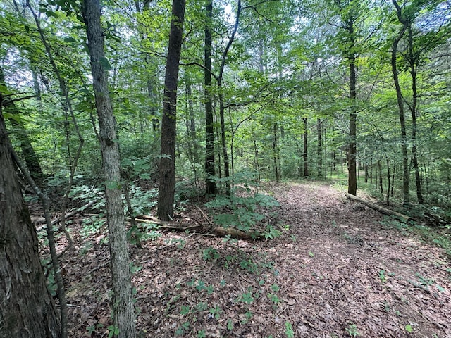 LOT14 Gatlin Rd NE, Cleveland, TN 37323 - photo 9