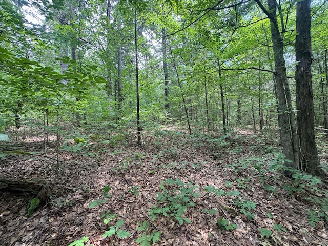 LOT14 Gatlin Rd NE, Cleveland, TN 37323 - photo 7