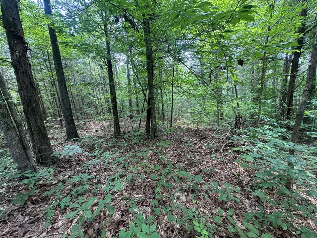 LOT14 Gatlin Rd NE, Cleveland, TN 37323 - photo 8