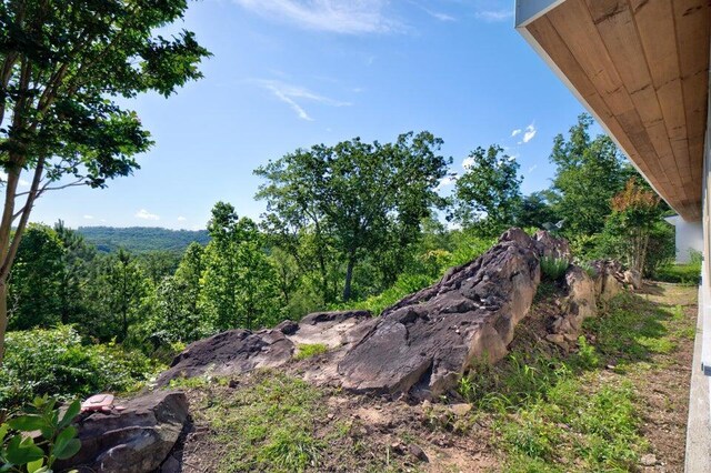 7174 White Oak Valley Rd, Mcdonald, TN 37353 - photo 13