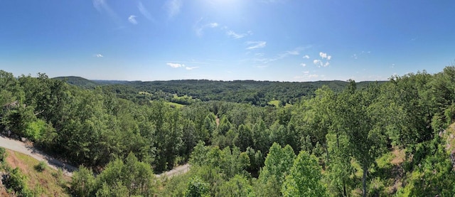 7174 White Oak Valley Rd, Mcdonald, TN 37353 - photo 26