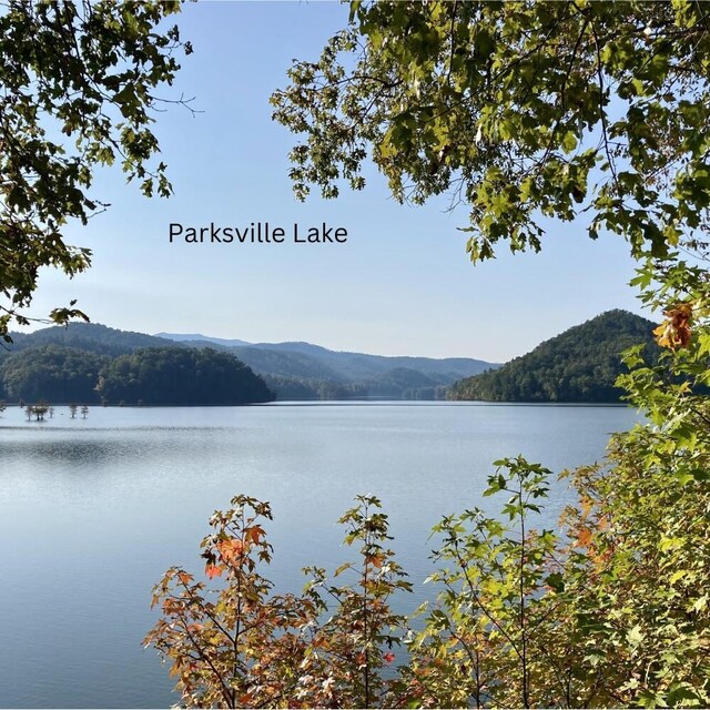 1461 Sloan Gap Rd, Ocoee, TN 37361 - photo 6