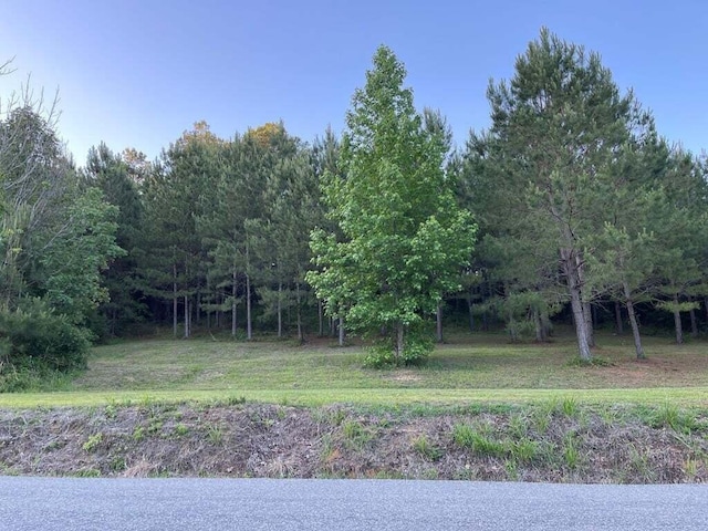 1461 Sloan Gap Rd, Ocoee TN, 37361 land for sale