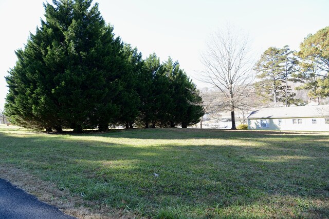 177 S Pine St, Dayton, TN 37321 - photo 4