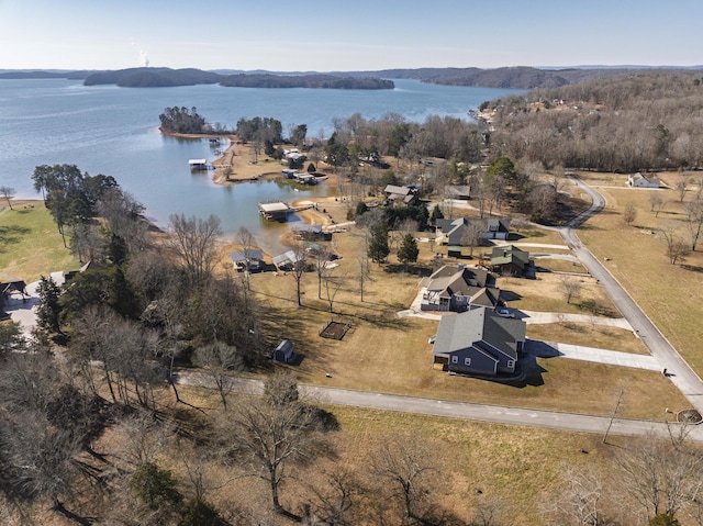 birds eye view of property with a water and mountain view