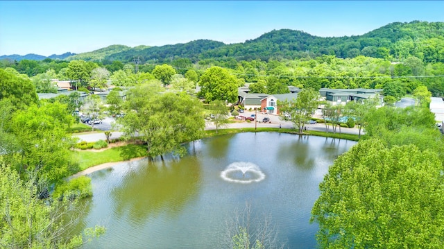 drone / aerial view with a water and mountain view and a view of trees
