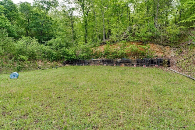 34 Mule Ln, Pikeville, TN 37367 - photo 52