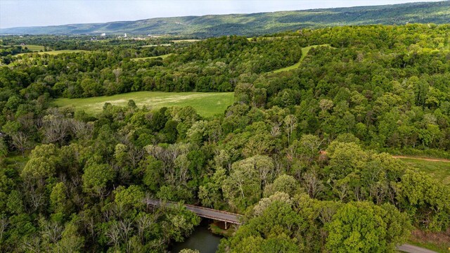 34 Mule Ln, Pikeville, TN 37367 - photo 28