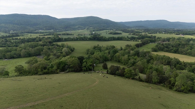 34 Mule Ln, Pikeville, TN 37367 - photo 12