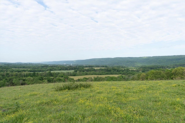 34 Mule Ln, Pikeville, TN 37367 - photo 24