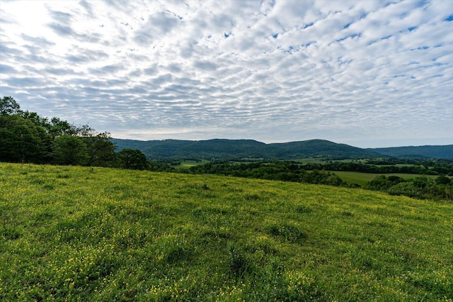 34 Mule Ln, Pikeville, TN 37367 - photo 8