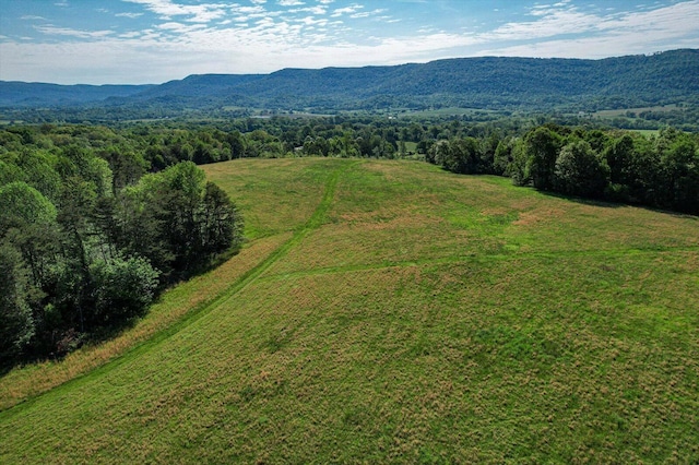 34 Mule Ln, Pikeville, TN 37367 - photo 79