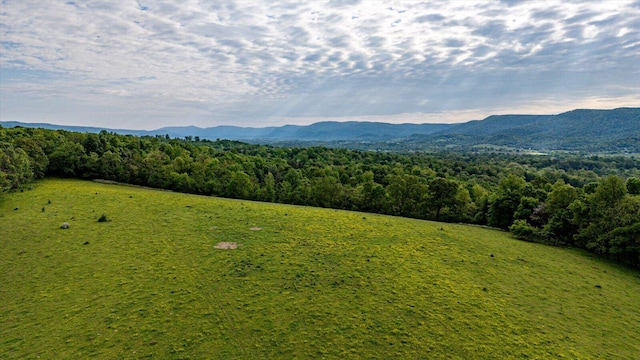 34 Mule Ln, Pikeville, TN 37367 - photo 57