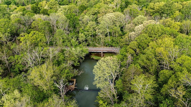 34 Mule Ln, Pikeville, TN 37367 - photo 26