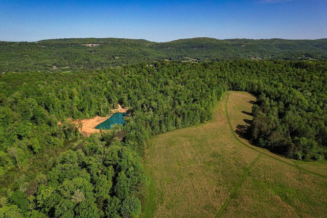 34 Mule Ln, Pikeville, TN 37367 - photo 80