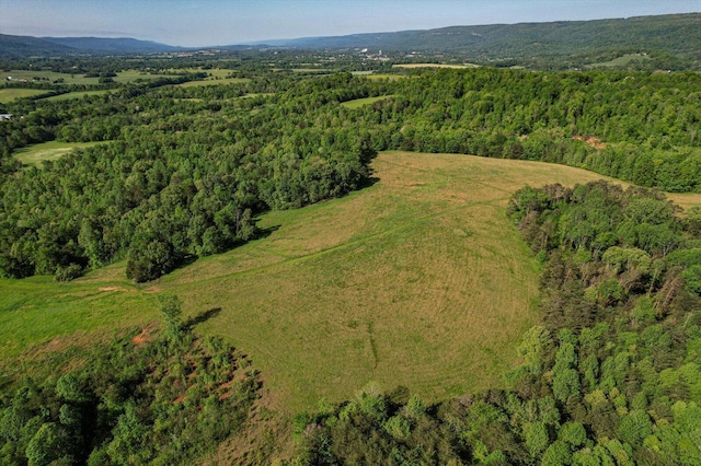 34 Mule Ln, Pikeville, TN 37367 - photo 81