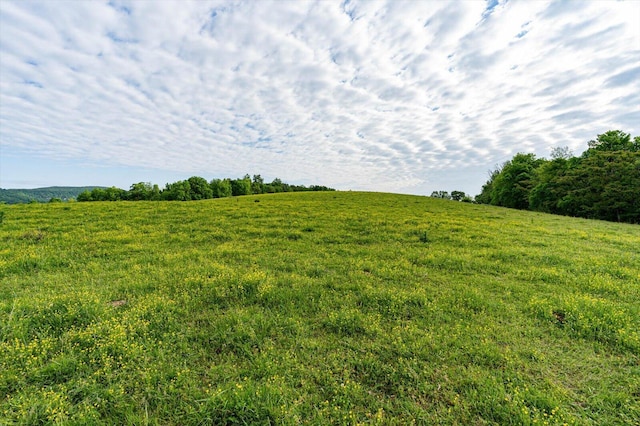 34 Mule Ln, Pikeville, TN 37367 - photo 9