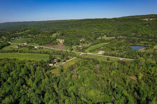 34 Mule Ln, Pikeville, TN 37367 - photo 5